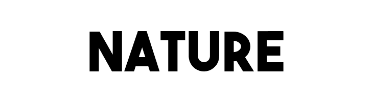 NATURE The Bold Font Font