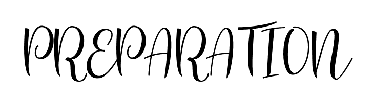 Sanies Script  Free Fonts Download