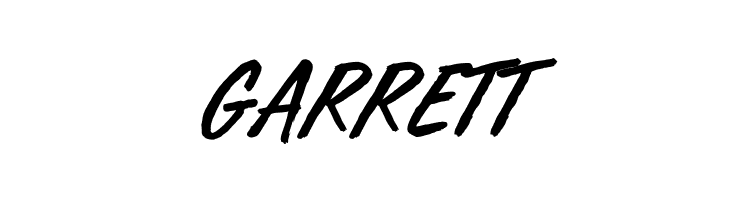 Furious Styles  Free Fonts Download