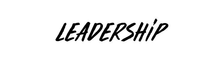 Furious Styles  Free Fonts Download