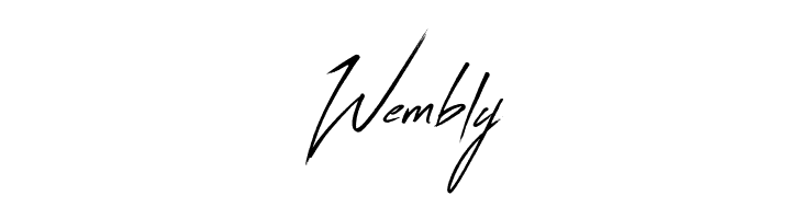 Flash Back  Free Fonts Download