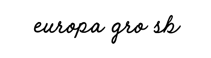 Raw Selvage  Free Fonts Download