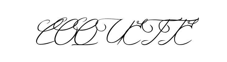 Mysterious Elegance  Free Fonts Download