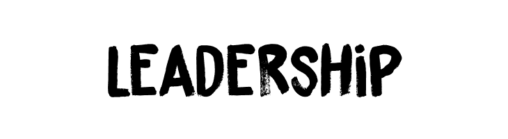 DK Brushzilla Regular  Free Fonts Download