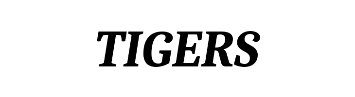 Caladea Bold Italic  Free Fonts Download