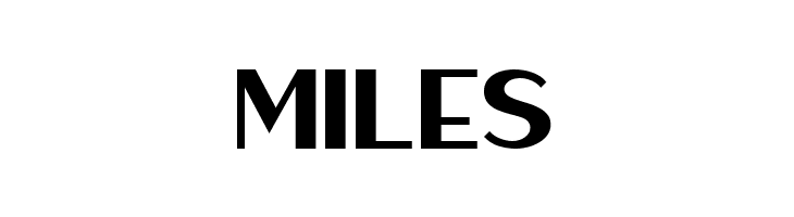 Haarlem Sans [Demo]  Free Fonts Download