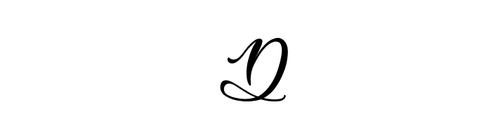 Easy November  Free Fonts Download