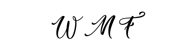 Easy November  Free Fonts Download