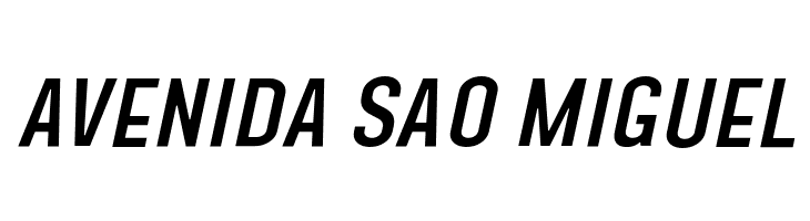 Steagisler Italic  Free Fonts Download