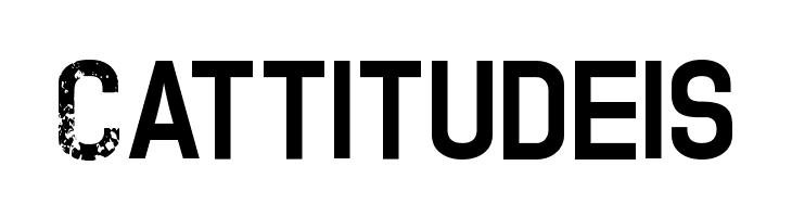 TWOFOLD uncomplete DeSigN  Free Fonts Download