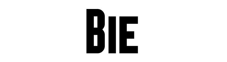 Broadsheet Bubble  Free Fonts Download