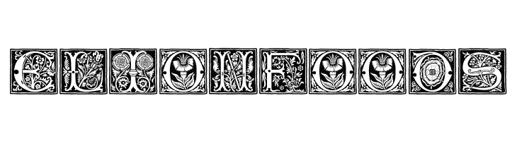 RomantiqueInitials  Free Fonts Download