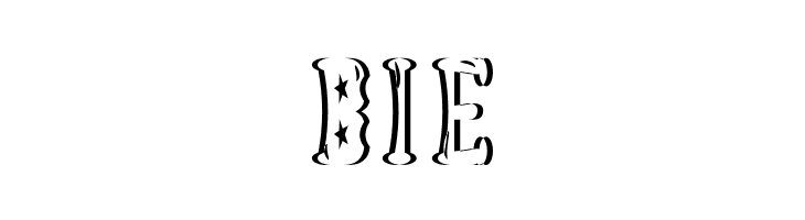 Astakhov Dished Sh Gl FS Serif  Free Fonts Download