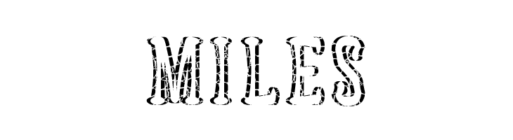 Astakhov Dished Sh Skin Serif  Free Fonts Download