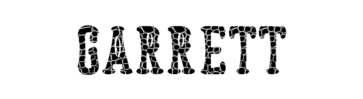 Astakhov Dished Skin E-F-2Serif  Free Fonts Download