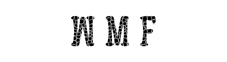Astakhov Dished Skin E-F-2Serif  Free Fonts Download