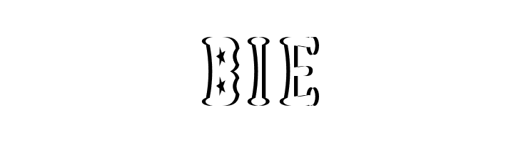 Astakhov Dished Shadow FS Serif  Free Fonts Download