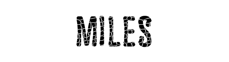 Astakhov Dished Skin E-F-2  Free Fonts Download