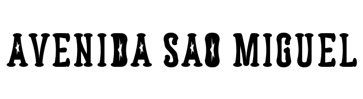 Astakhov Dished  FS Serif  Free Fonts Download