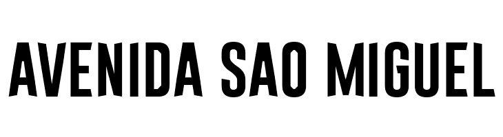 Astakhov First Simple  Free Fonts Download