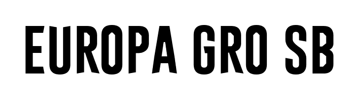 Astakhov First Simple  Free Fonts Download