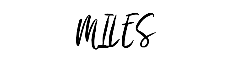 Something in the Night  Free Fonts Download