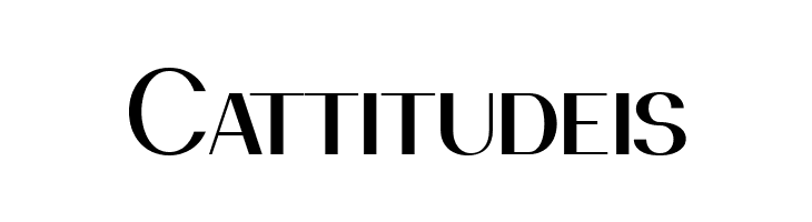 PassionSansPDbg-RegularSmallCaps  Free Fonts Download