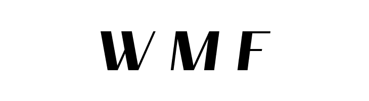 PassionSansPDan-HeavyItalic  Free Fonts Download
