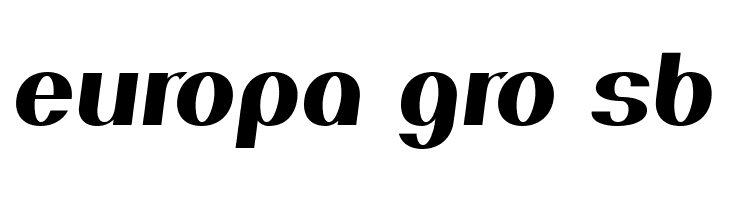 PassionSansPDan-HeavyItalic  Free Fonts Download
