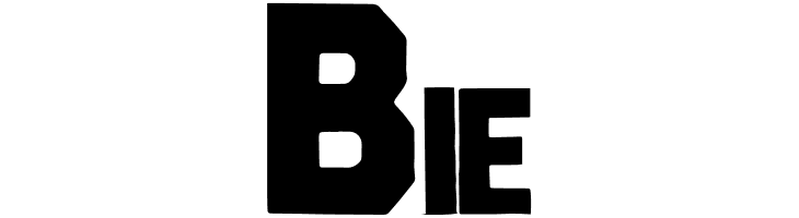 KaropapierRegular  Free Fonts Download