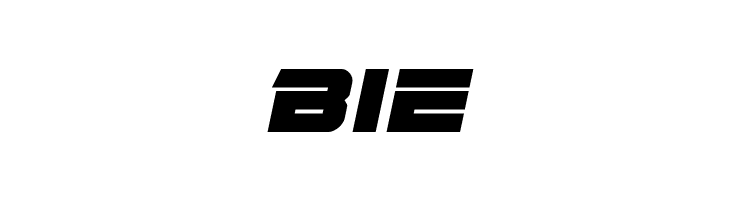 Edge Racer Expanded Italic  Free Fonts Download