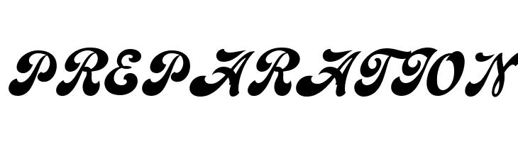 Emiral Script PERSONAL USE  Free Fonts Download