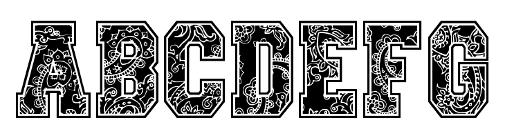 Paysley Sports  Free Fonts Download