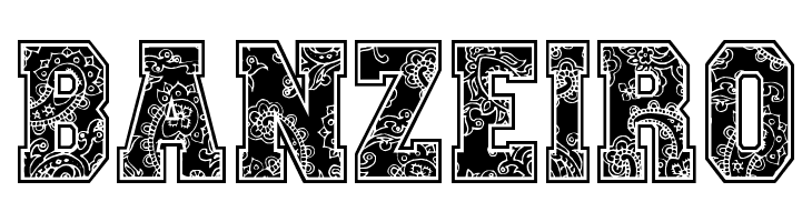 Paysley Sports  Free Fonts Download