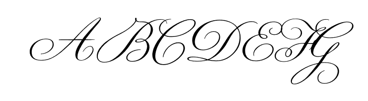 Champignon  Free Fonts Download