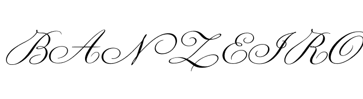 Champignon  Free Fonts Download