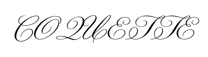 Champignon  Free Fonts Download