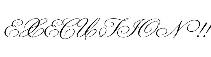 Champignon  Free Fonts Download