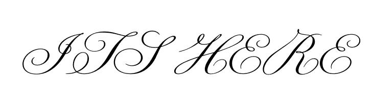 Champignon  Free Fonts Download