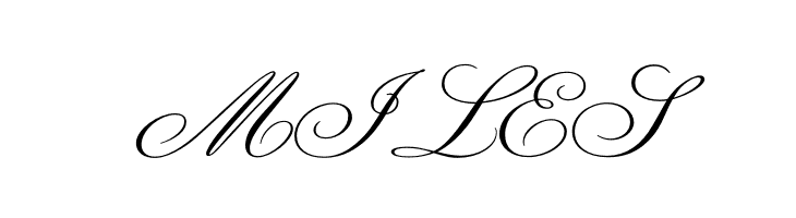 Champignon  Free Fonts Download