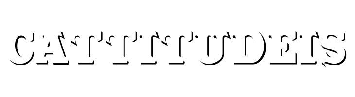 CabbagetownStone  Free Fonts Download