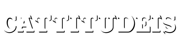 CabbagetownStoneStd  Free Fonts Download