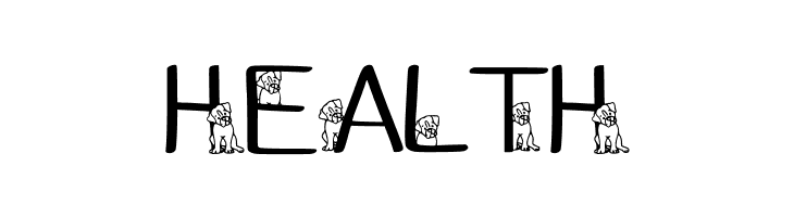 Ks Boxer Hide N Seek Regular  Free Fonts Download