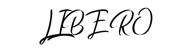 Confidential Document  Free Fonts Download