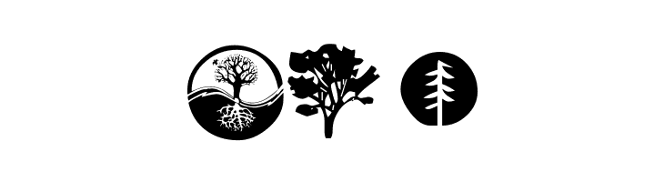 KR Trees  Free Fonts Download