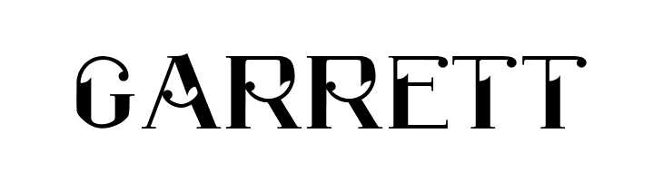 ROBBER Medium  Free Fonts Download