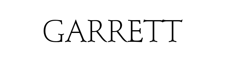 Schindler Light  Free Fonts Download