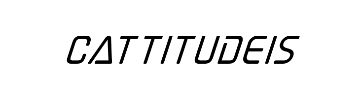 Elite Danger Bold Super-Italic  Free Fonts Download