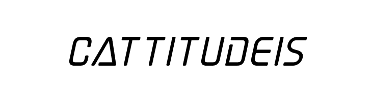 Elite Danger Bold Italic  Free Fonts Download