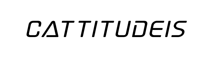 Elite Danger Bold Expanded Italic  Free Fonts Download